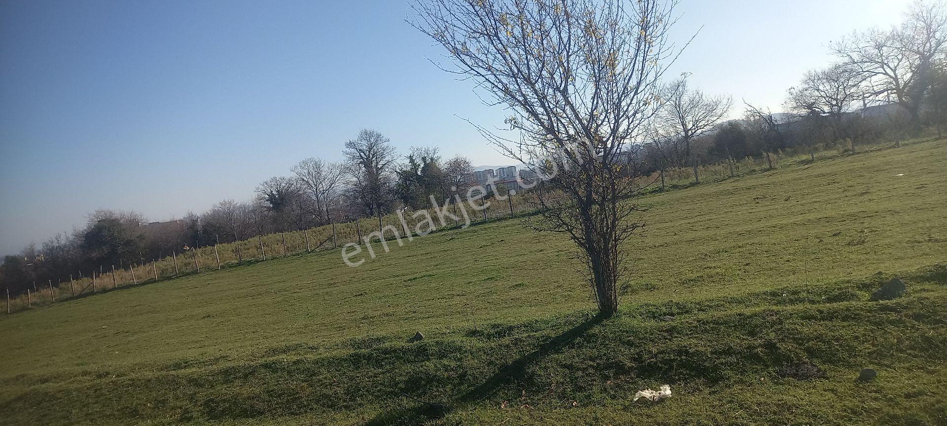 İncesu Da Yatırımlık Parsel - Görsel 2