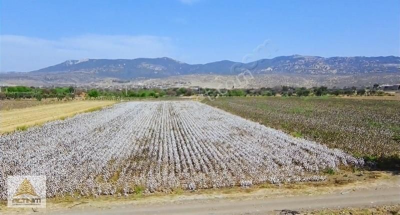 Bergama Göçbeyli Satılık Tarla Bergama Göçbeylide Kupon 11.201 M2 Tarlamız Satışta