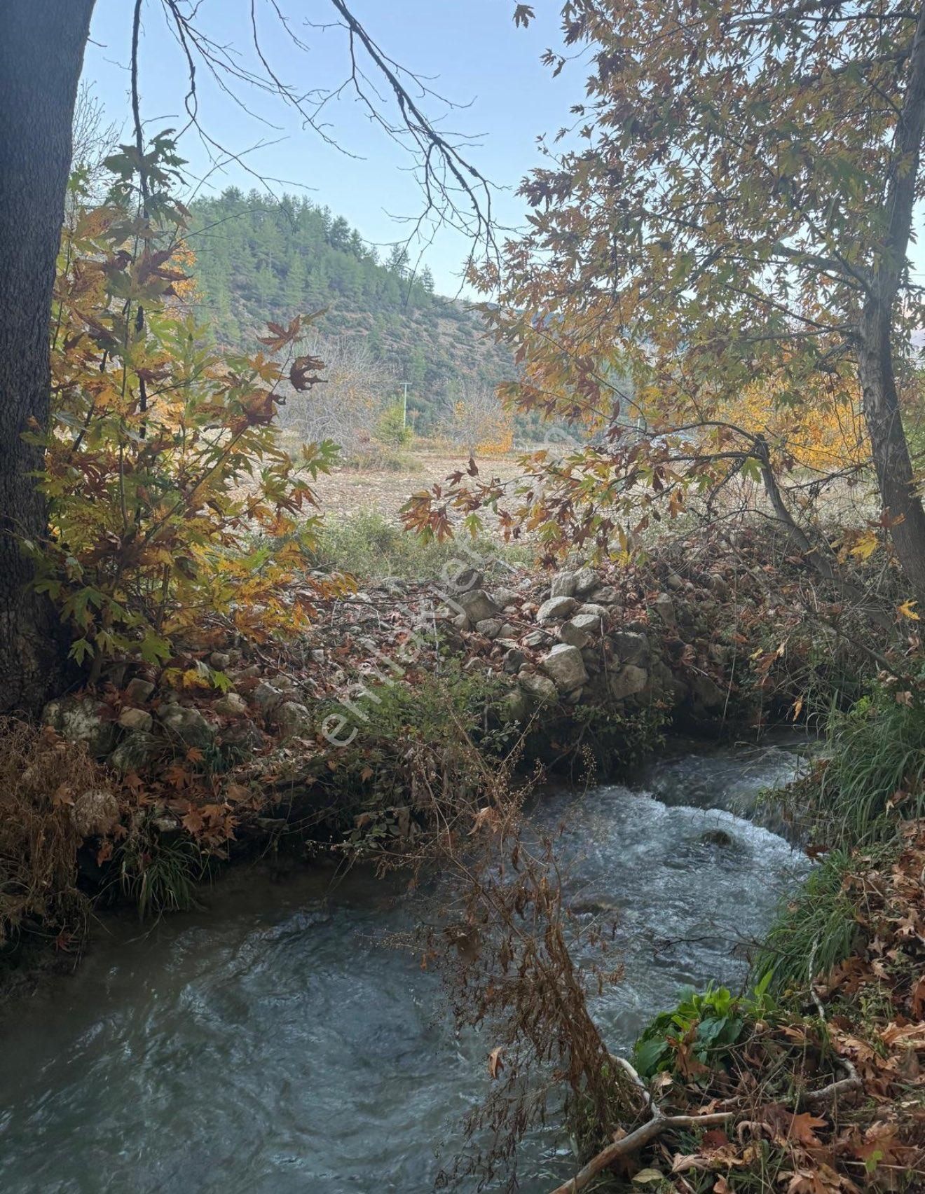 Ermenek Yaylapazarı Köyü Satılık Tarla Zeyve Pazarında 4 Dönüm Parasına15 Dönüm Arsa