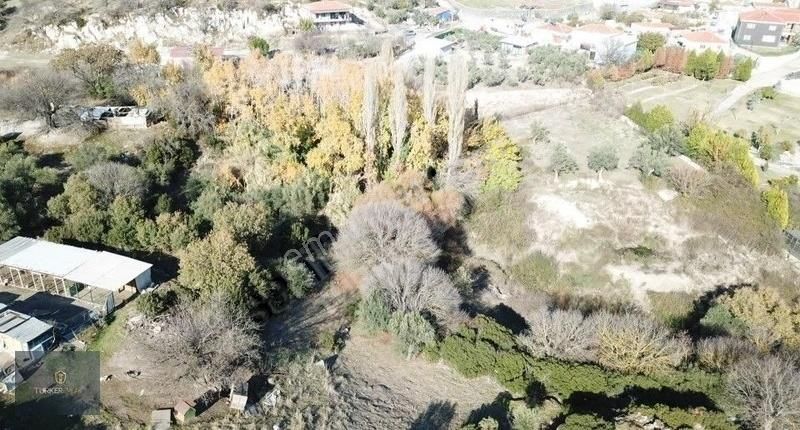 Türker Emlak-güzelhisar Köyiçi Satılık Zeytinli Bahçe 2.925m²