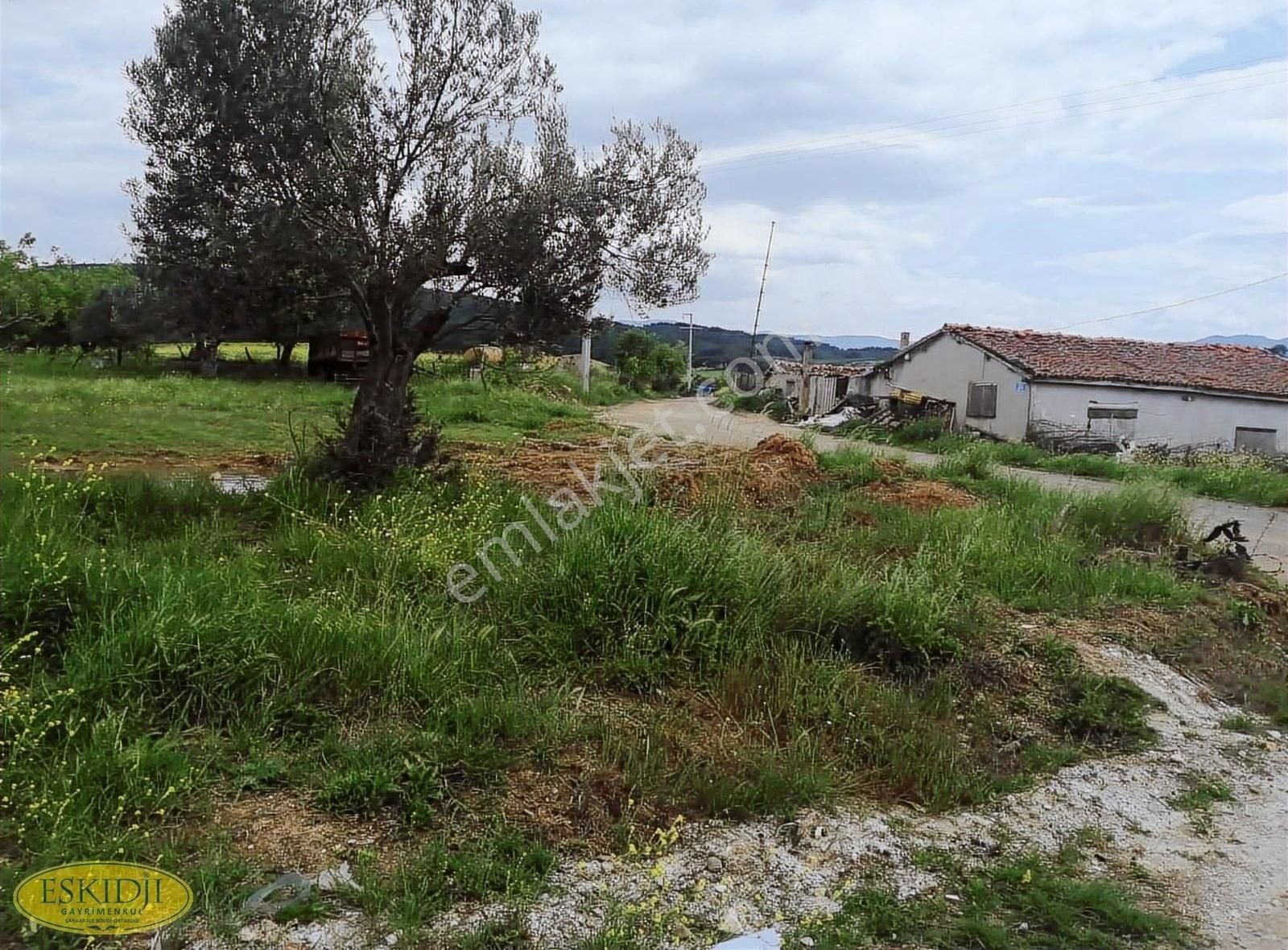 Bayramiç Tepecik Satılık Konut İmarlı İmarlı Arsa