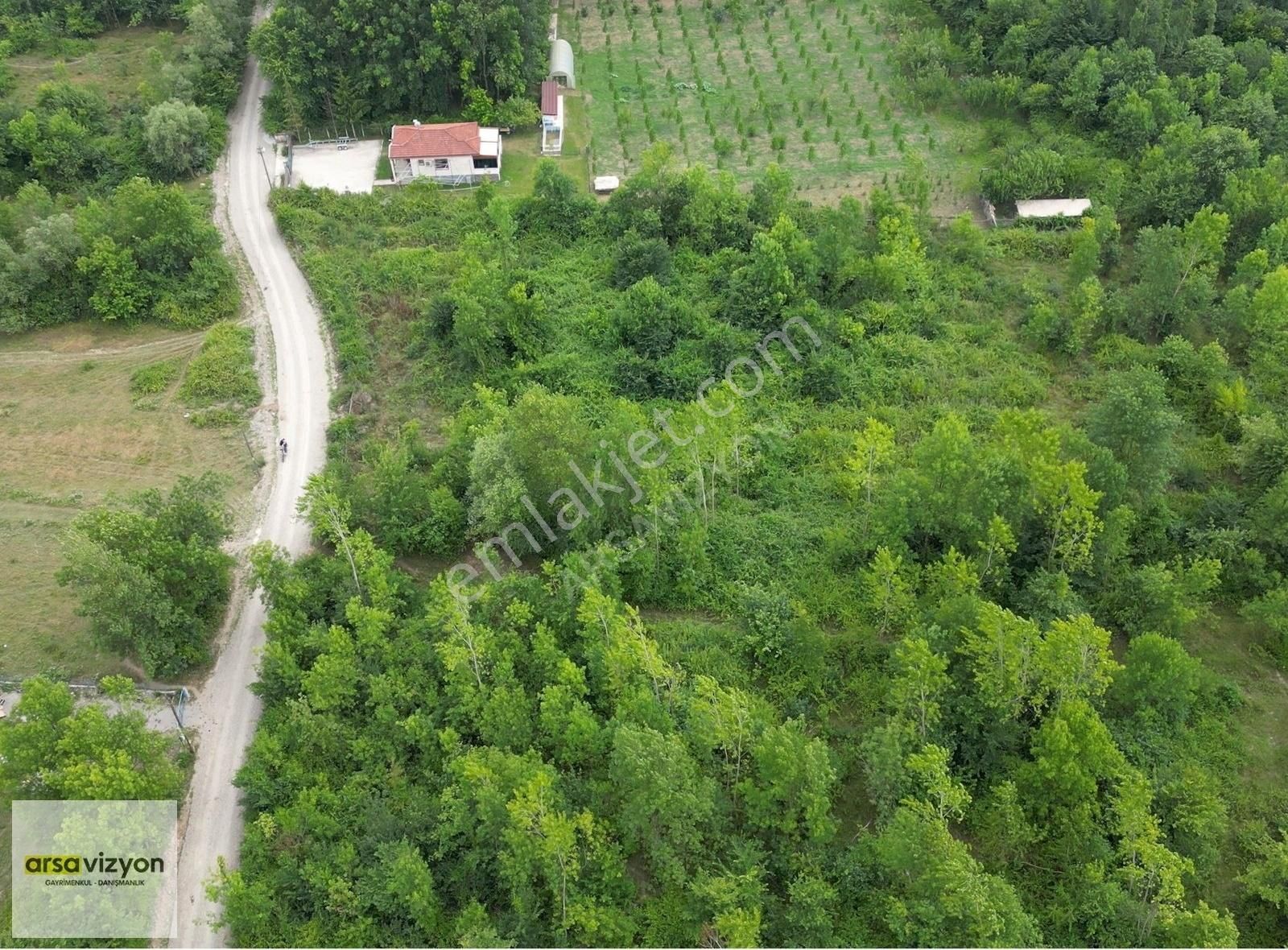 Bartın Merkez Çaydüzü Satılık Tarla Balamba'da Satılık Tarla 2.253 M² Elektrik Su Mevcut