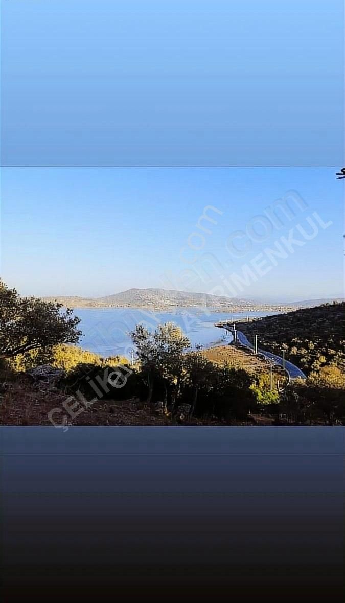 Milas Boğaziçi Satılık Zeytinlik Milas Boğaziçinde Hem Deniz Hem Göl Manzaralı Zeytinlik