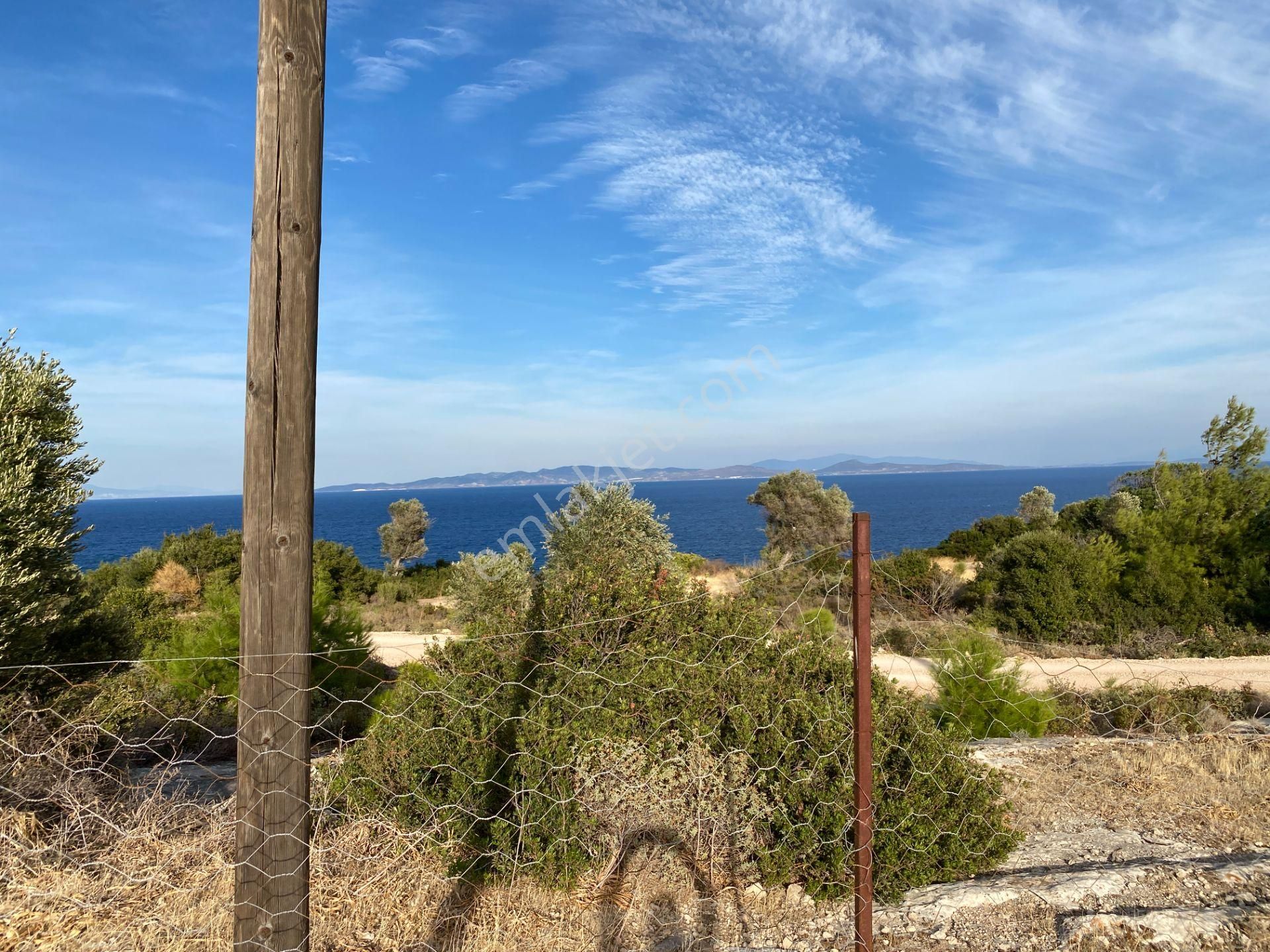Karaburun Anbersekide Deniz Manzaralı 14 Dönüm Arazi - Görsel 16