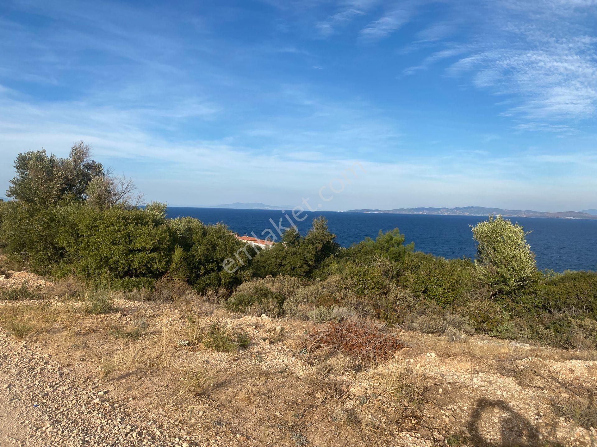 Karaburun Anbersekide Deniz Manzaralı 14 Dönüm Arazi