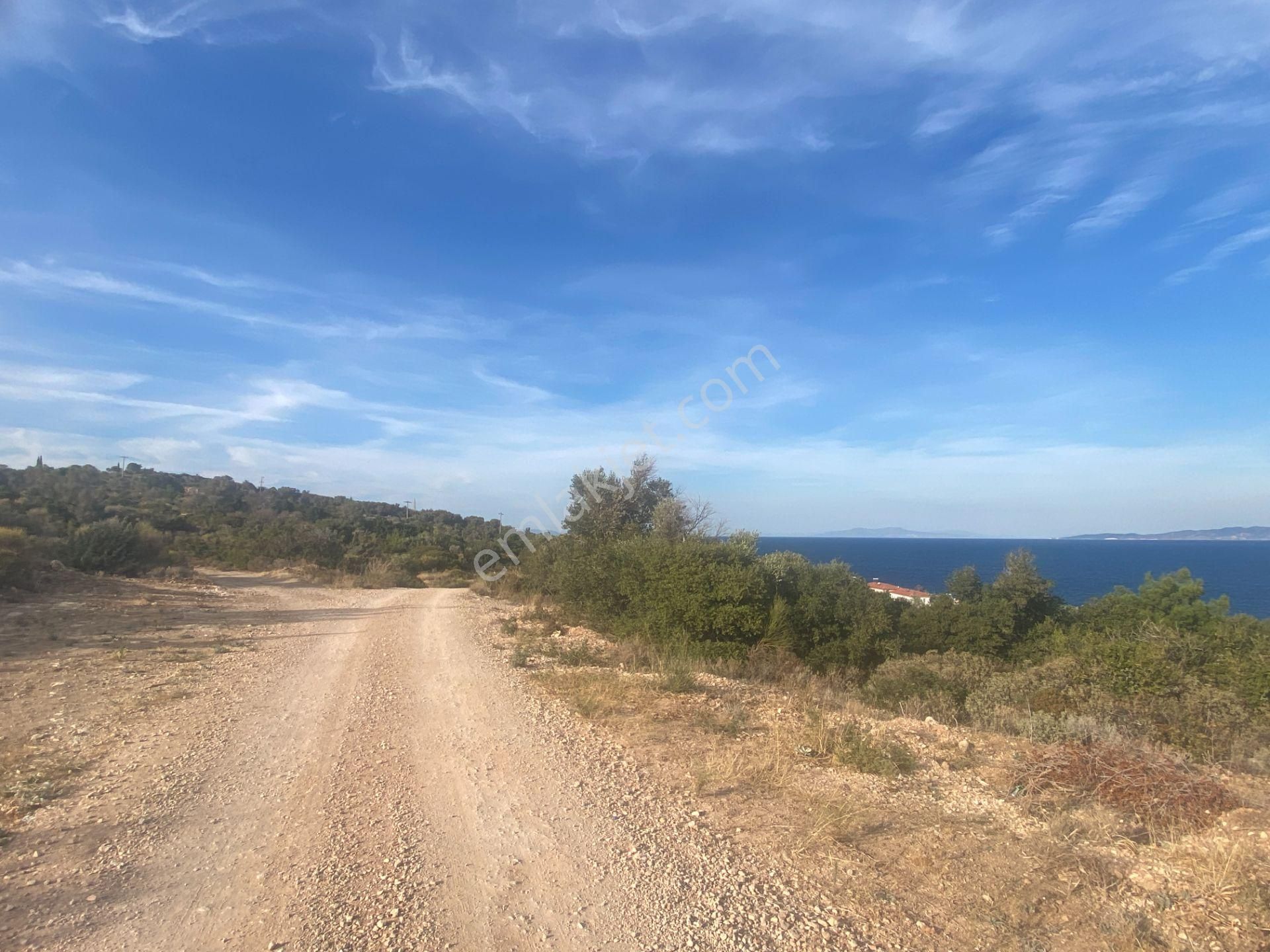 Karaburun Anbersekide Deniz Manzaralı 14 Dönüm Arazi - Görsel 8