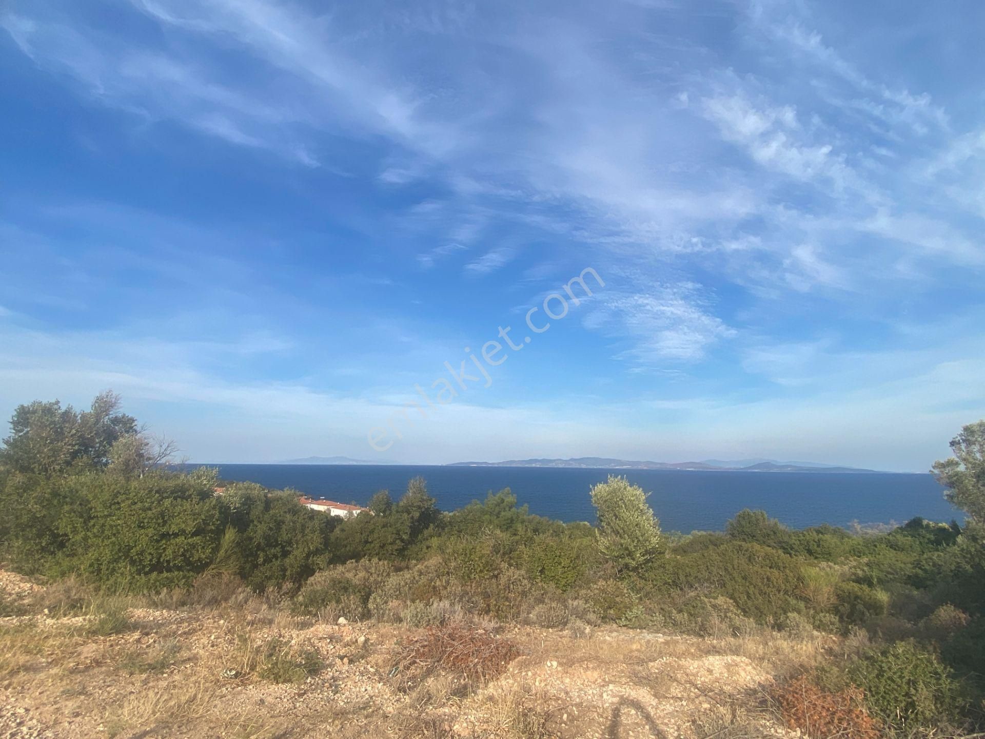 Karaburun Anbersekide Deniz Manzaralı 14 Dönüm Arazi - Görsel 9