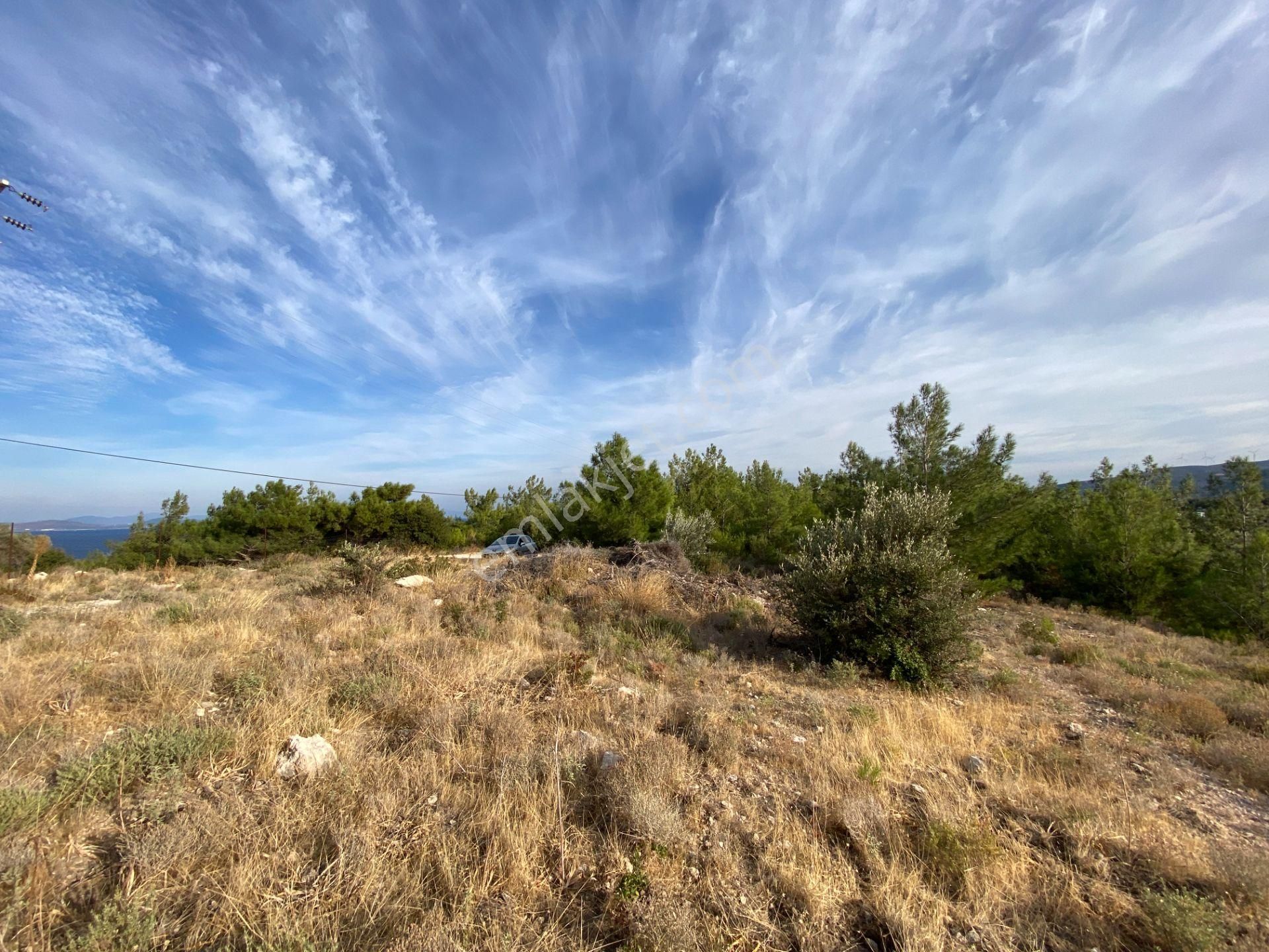 Karaburun Anbersekide Deniz Manzaralı 14 Dönüm Arazi - Görsel 14