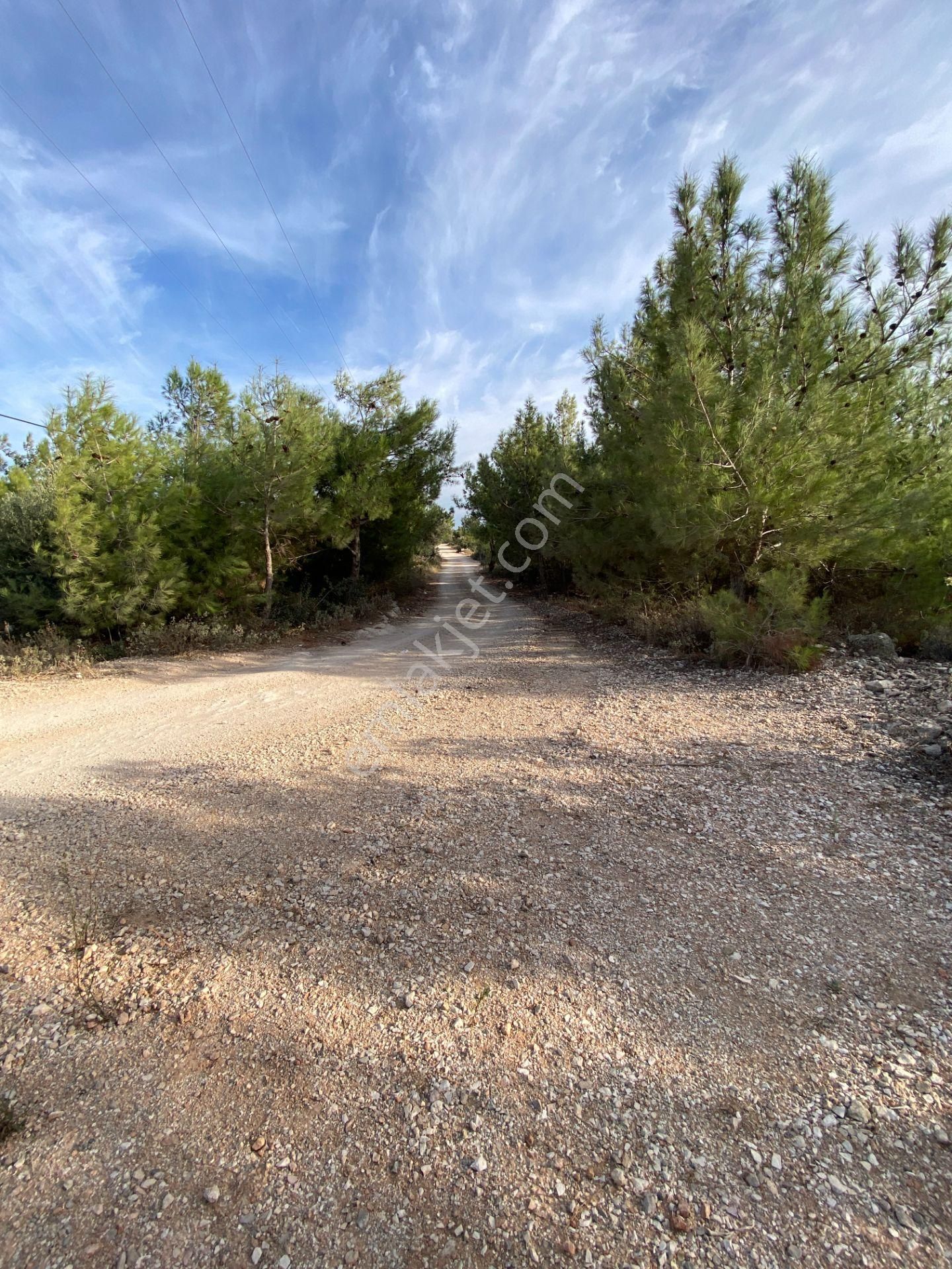 Karaburun Anbersekide Deniz Manzaralı 14 Dönüm Arazi - Görsel 18