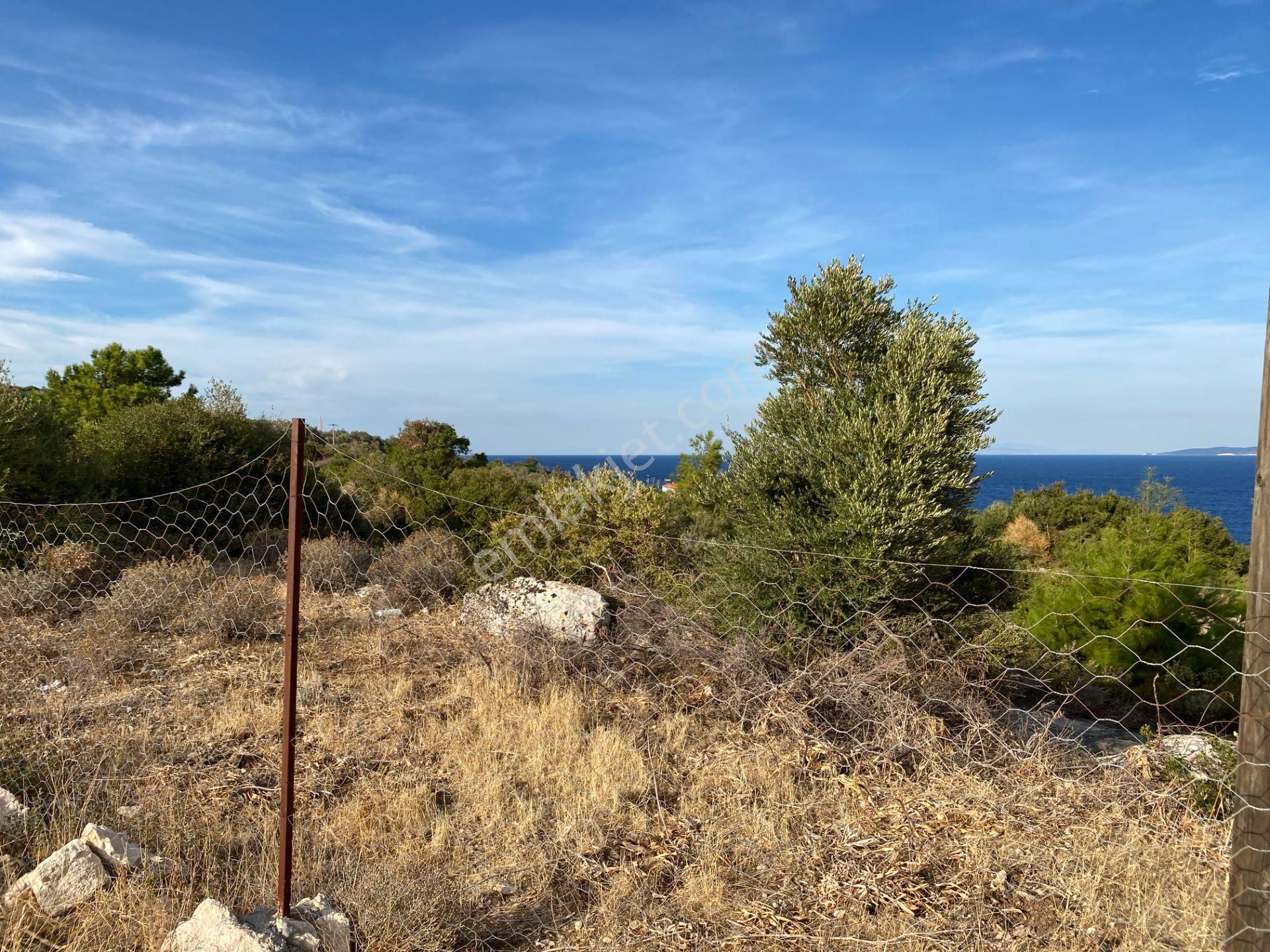 Karaburun Anbersekide Deniz Manzaralı 14 Dönüm Arazi - Görsel 17