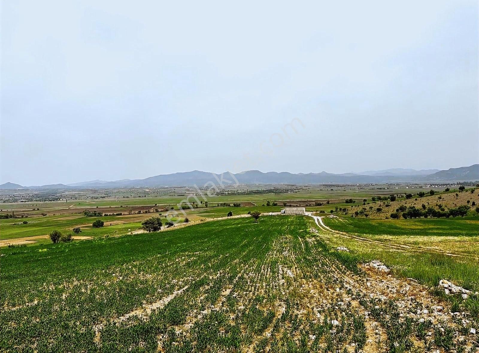 Beyşehir Gökçimen Satılık Tarla Gökçimen Mh 3948 M2 Bahçelik Satılık Hesaplı Tarla