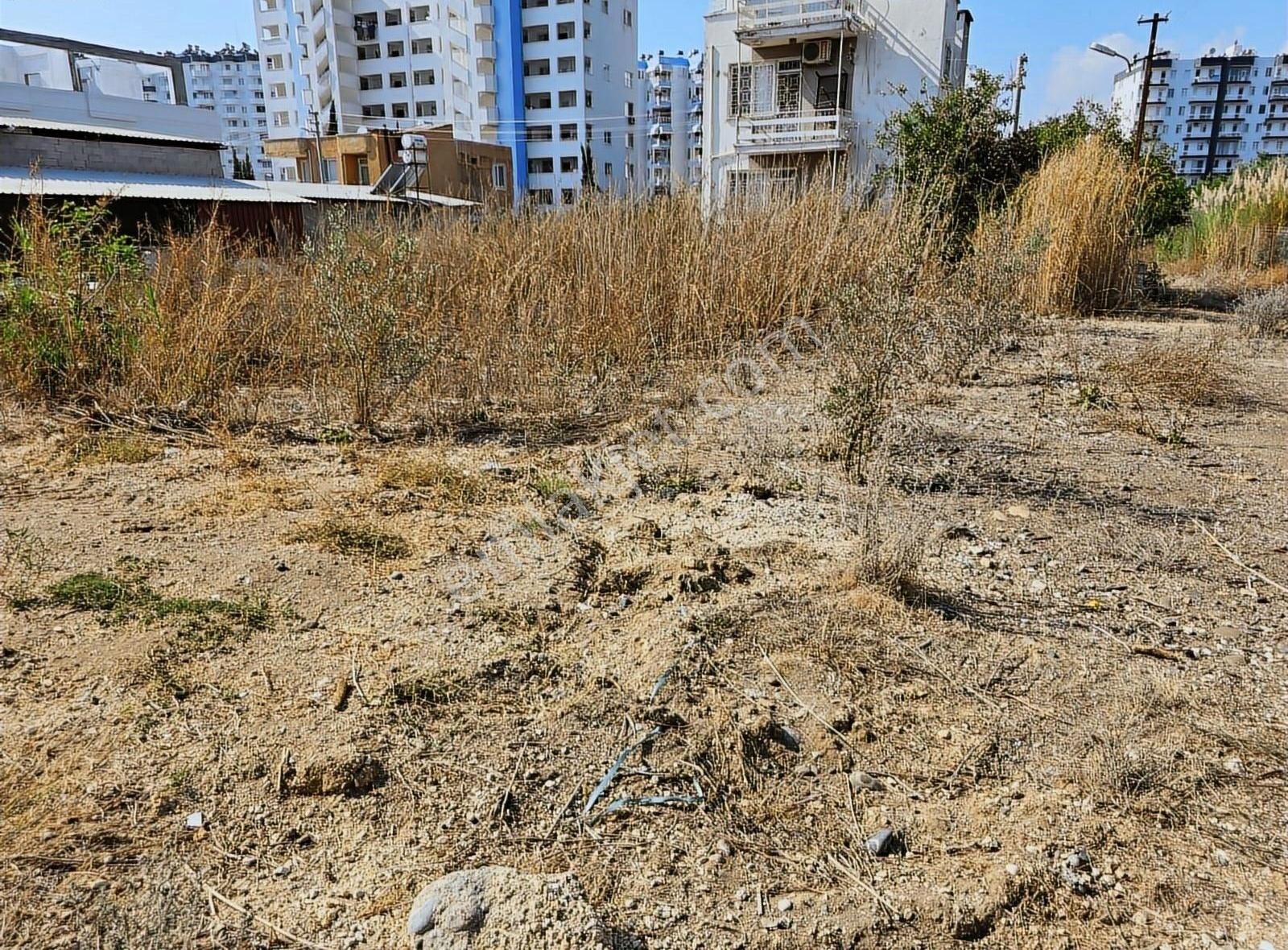 Erdemli Tömük Satılık Tarla Erdemli Tömük Mah.'de İki Ayrı Parsel Satılık Arsa