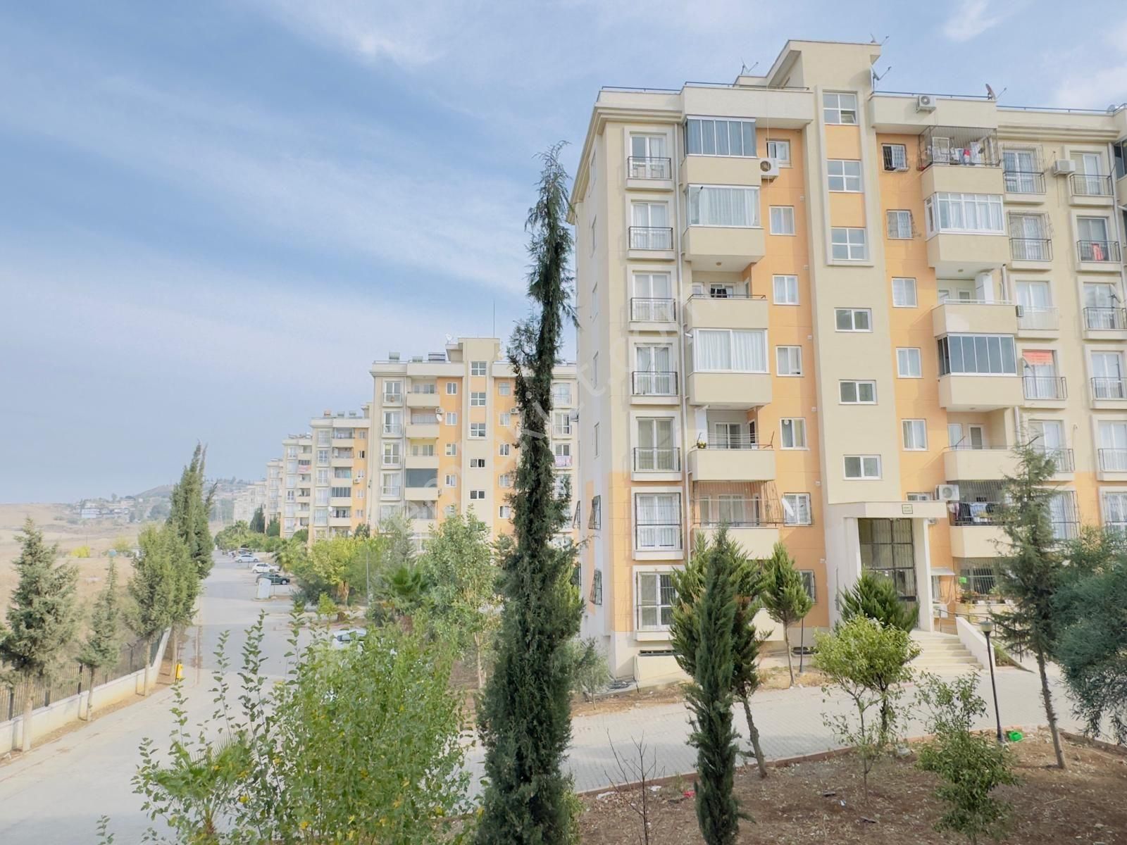 Çukurova Şambayadı Satılık Daire Lotus Dan Sambayat Ta Havuzlu Site İçerisin De Masrafsız Daire