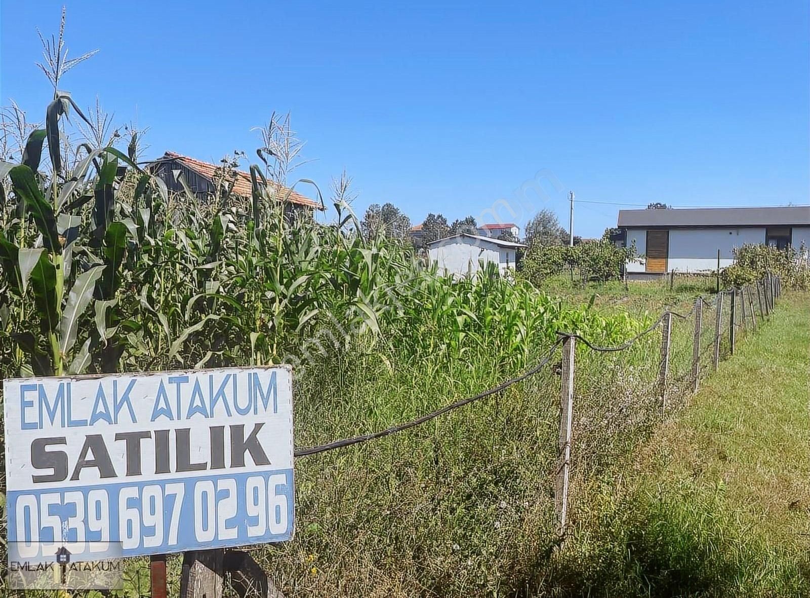 19 Mayıs Yörükler Satılık Konut İmarlı 19 Mayıs Yörükler Anayola Cephe Satılık Arsa