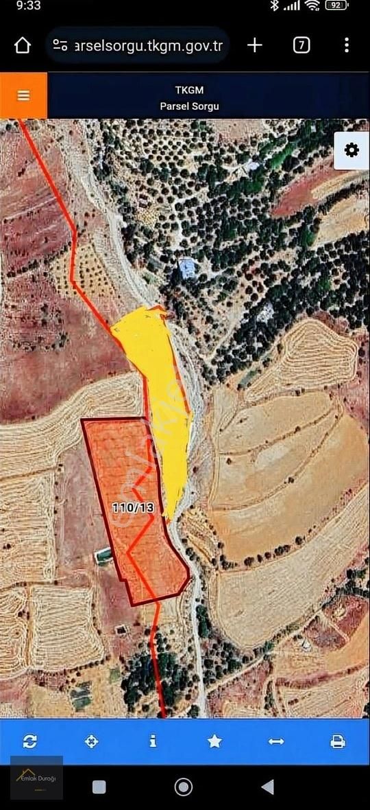 Baskil Canbeyler Satılık Tarla Baskil Çarşıya 2 Km 11,900 M2 Hazır Dikili Genç Bahçe