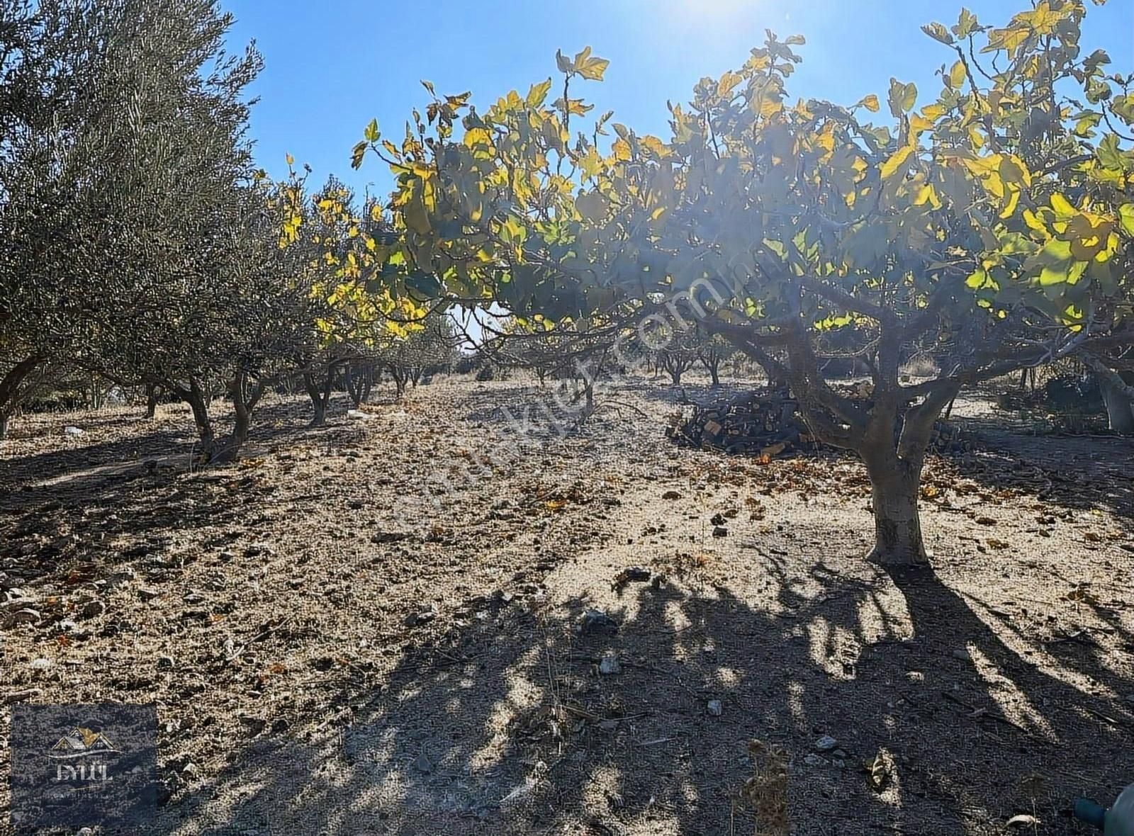 Ezine Karadağ Köyü Satılık Konut İmarlı Ezine Karadağ Köyünde Satılık 2606 M2 İmarlı Arsa