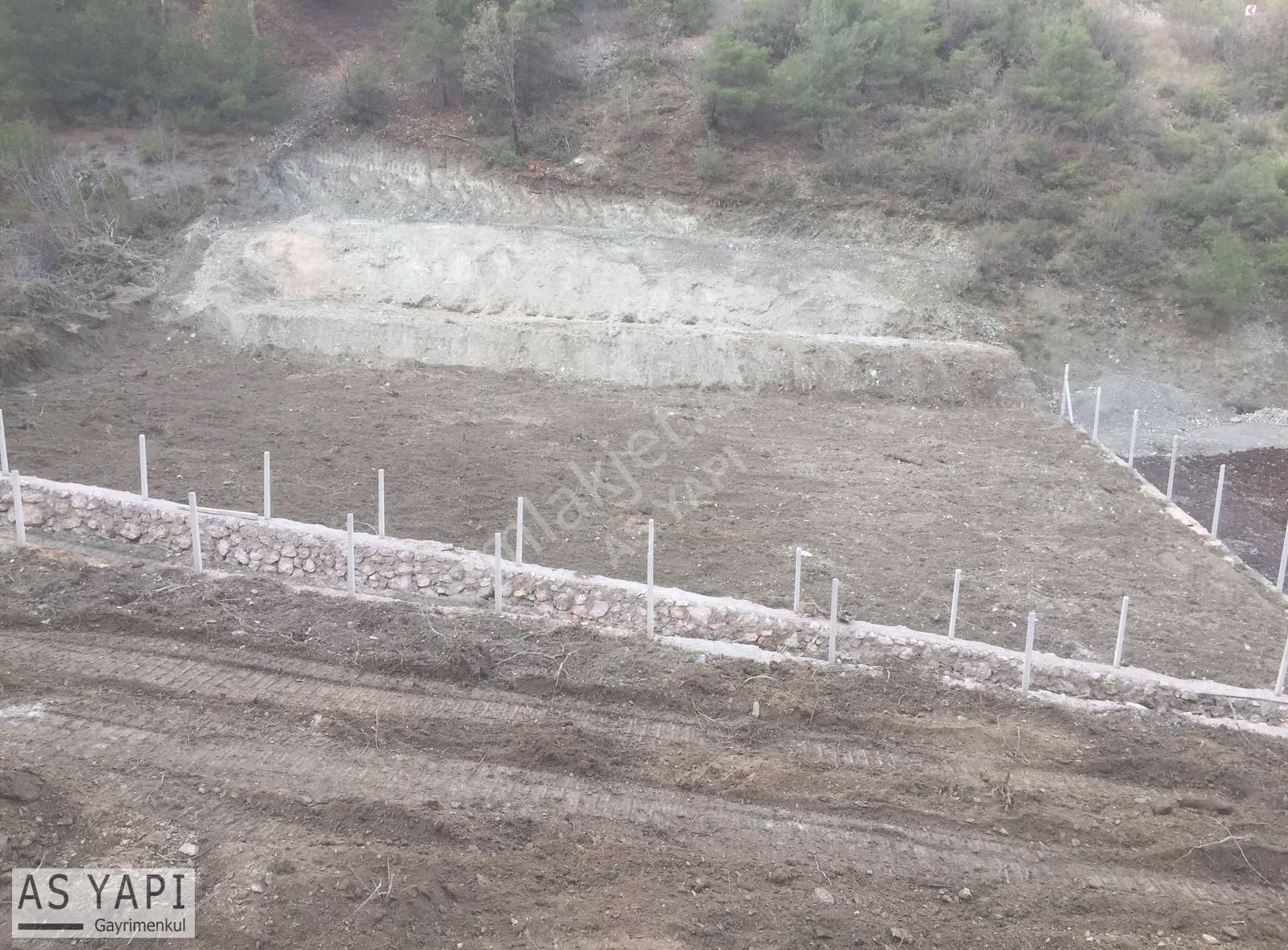 Amasya Merkez Yeşilyenice Satılık Bağ & Bahçe As Yapıdan Amasya Yenicede Satılık Tarla/bağ