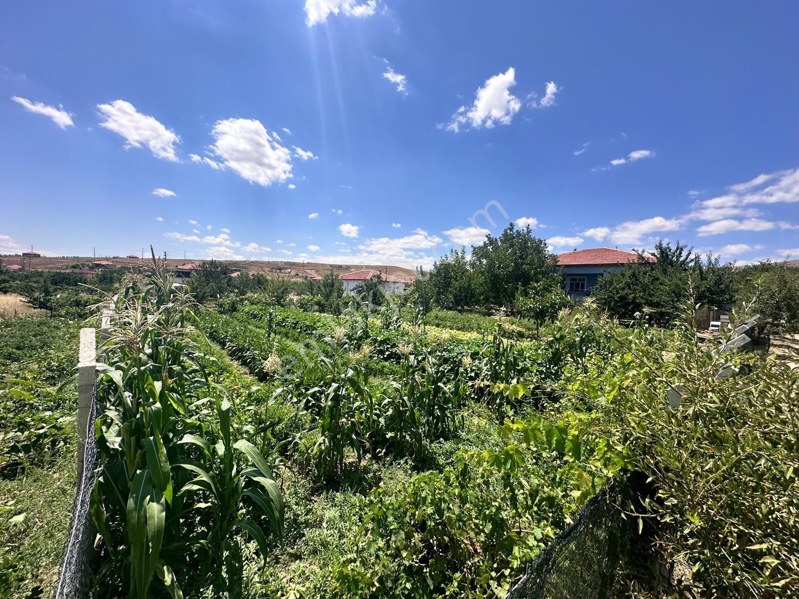 Kırıkkale Merkez Hacılar Bld. (Hacıbey) Satılık Konut İmarlı Hacılar Kasabası Merkezde Tel Örgülü 756 M2 Konut İmarlı Arsa