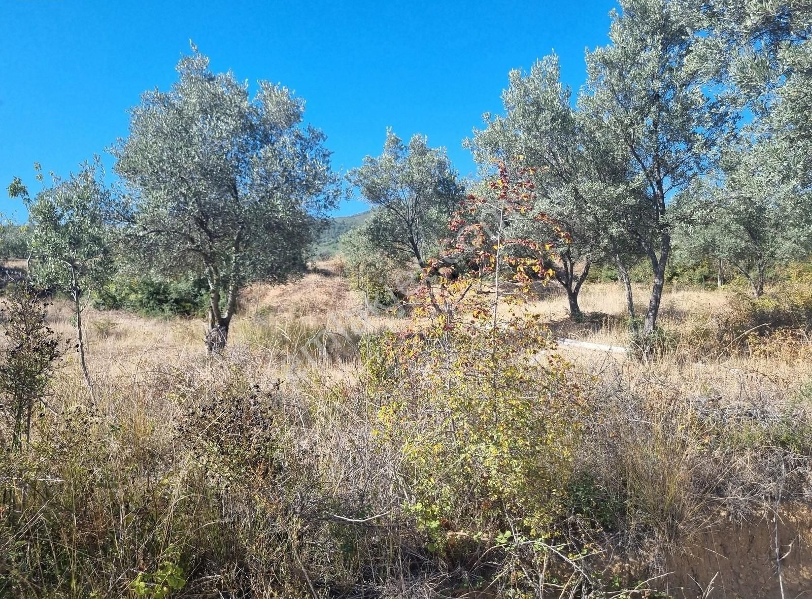Pamukova Ahiler Mahallesinde İmara Çok Yakın Hesaplı Arazi - Görsel 23