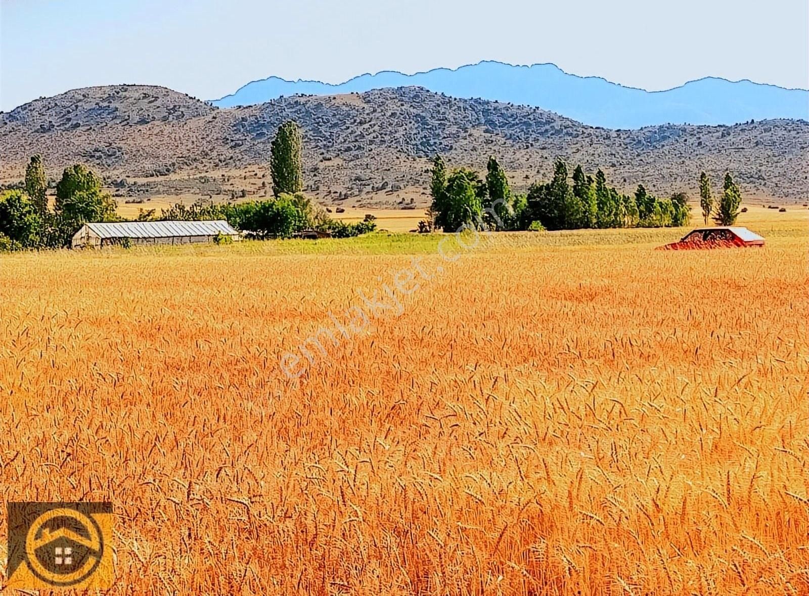 Seydişehir Akçalar Satılık Tarla Ekon,dan Akçalarda 1525 M2 Müstakil Tapulu Yatırıma Uygun Tarla