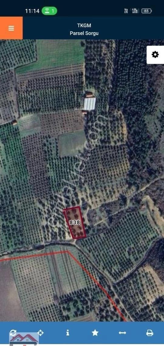 Kırkağaç Kınık Fahri Sertel Emlaktan Satılık Zeytinlik - Görsel 7