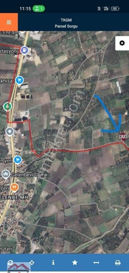Kırkağaç Kınık Fahri Sertel Emlaktan Satılık Zeytinlik - Görsel 2