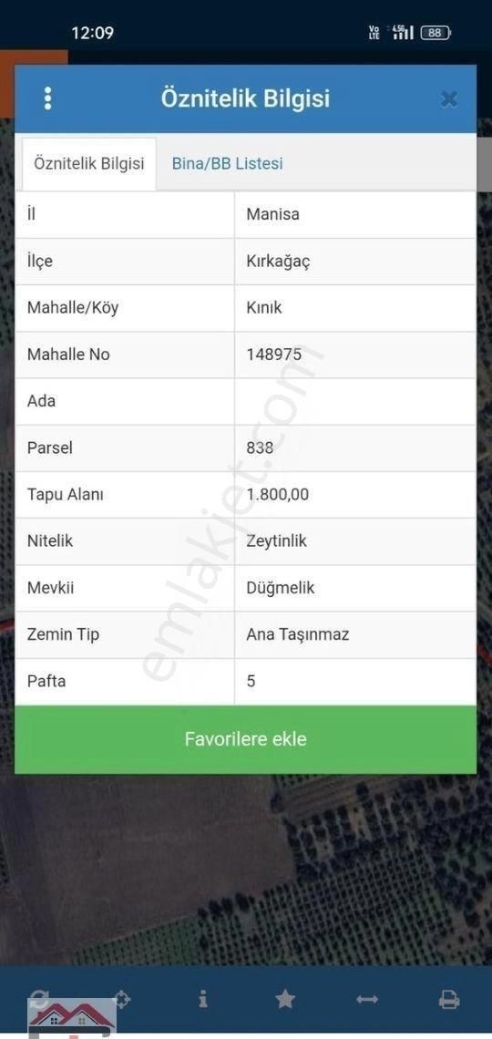 Kırkağaç Kınık Fahri Sertel Emlaktan Satılık Zeytinlik - Görsel 9