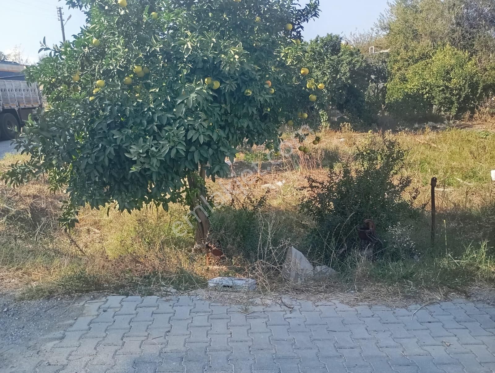 Muğla Dalaman Taşlıburun Mahallesinde Satılık Arsa - Görsel 10