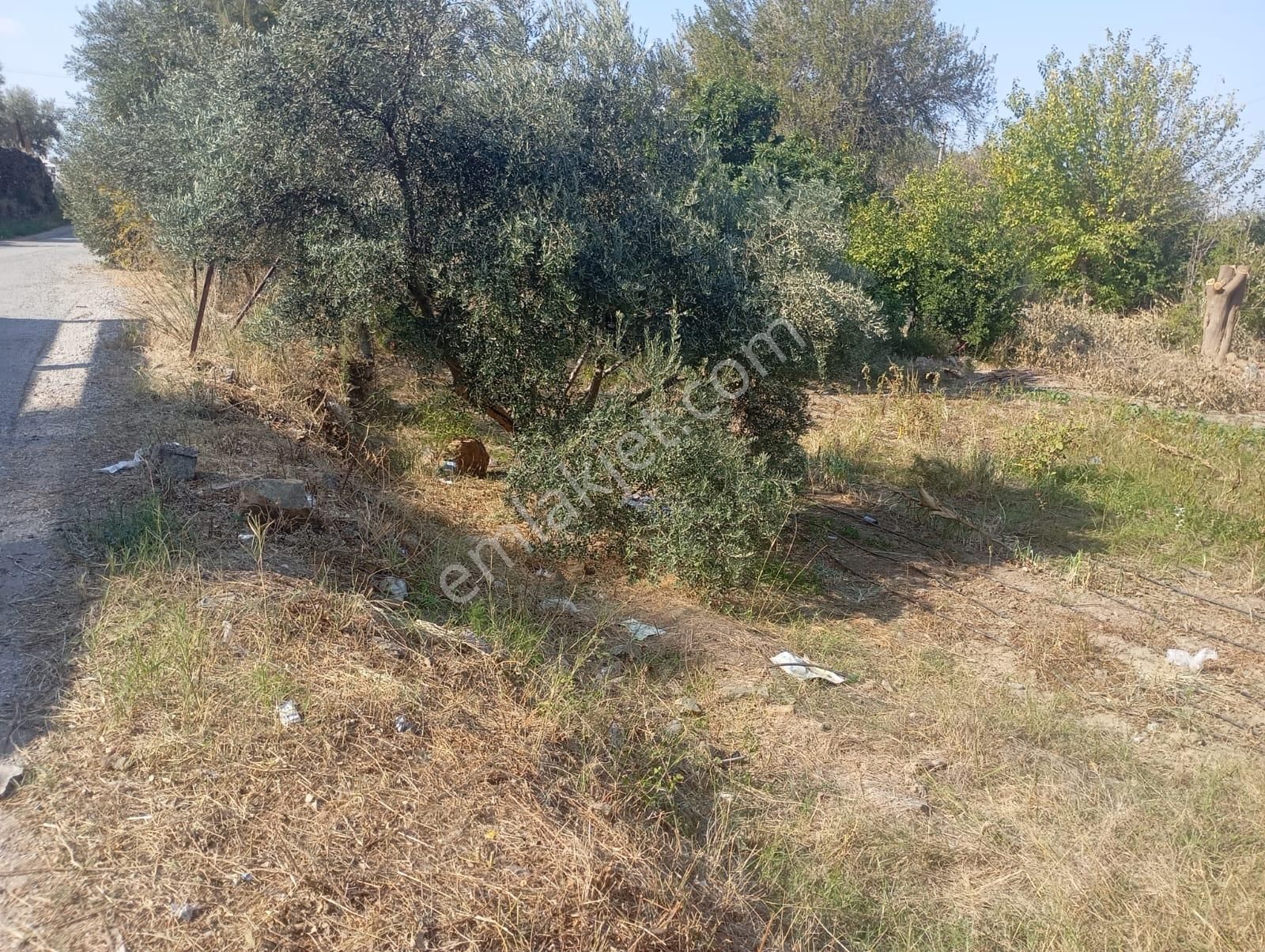 Muğla Dalaman Taşlıburun Mahallesinde Satılık Arsa - Görsel 7