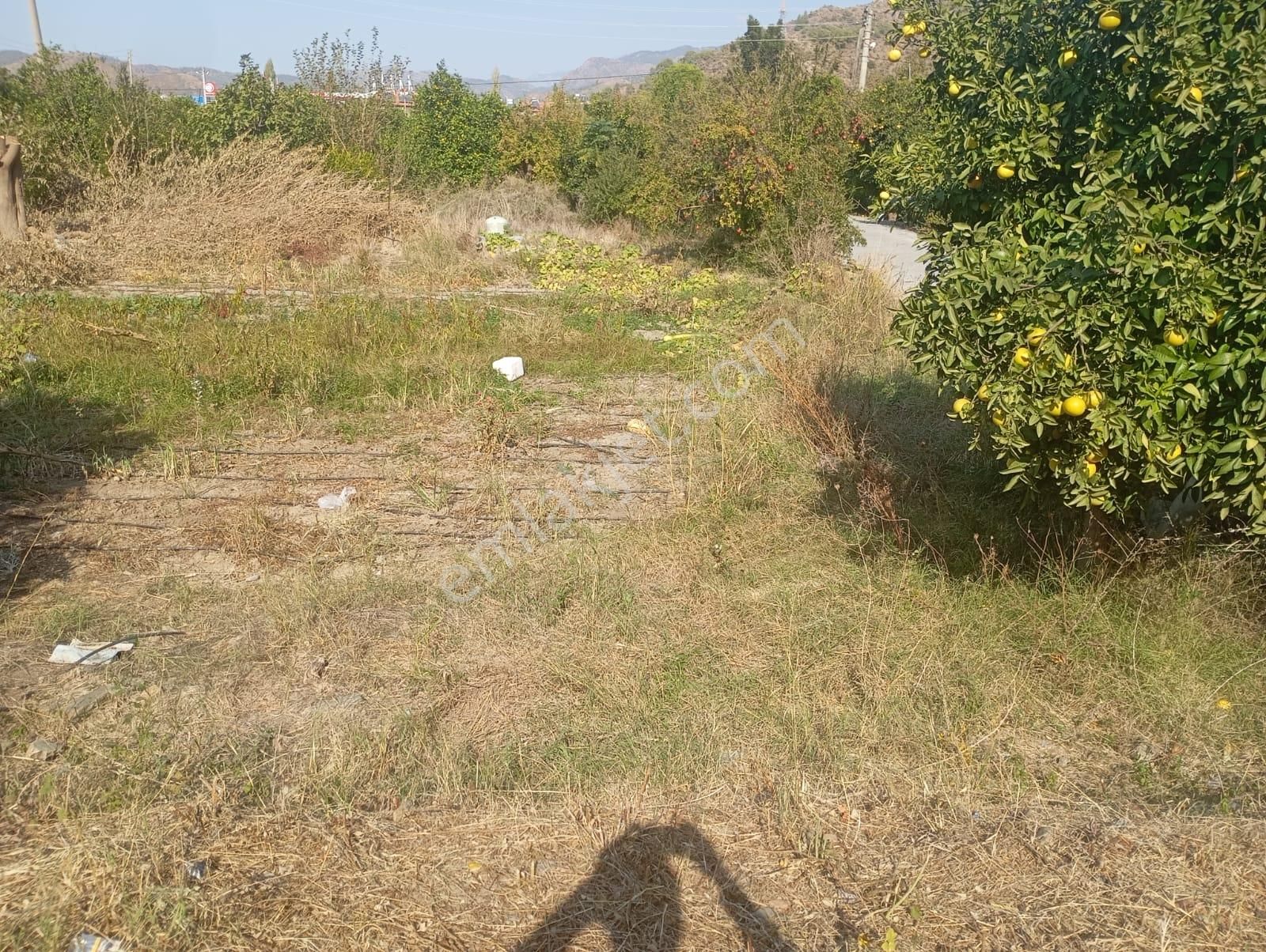 Muğla Dalaman Taşlıburun Mahallesinde Satılık Arsa - Görsel 4