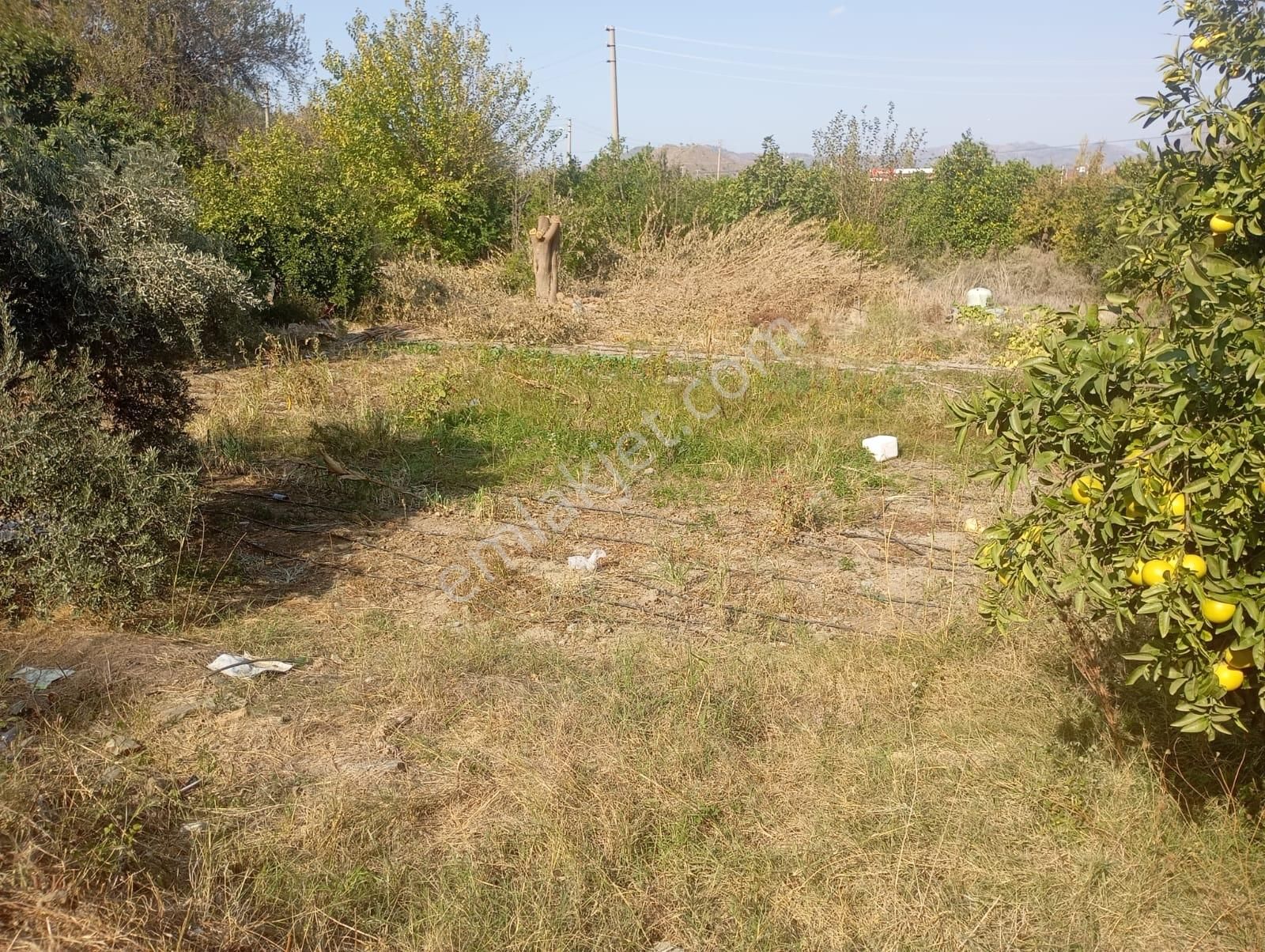 Muğla Dalaman Taşlıburun Mahallesinde Satılık Arsa - Görsel 5