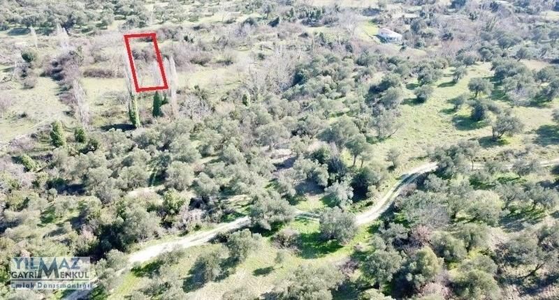 Fırsat ! Bergama Koyuneli Yatırımlık 900 M2 Satılık Bahçe - Görsel 6