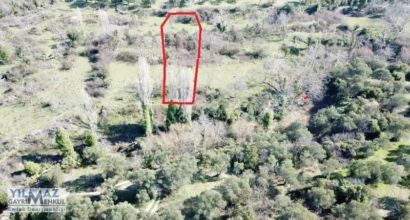 Fırsat ! Bergama Koyuneli Yatırımlık 900 M2 Satılık Bahçe - Görsel 21