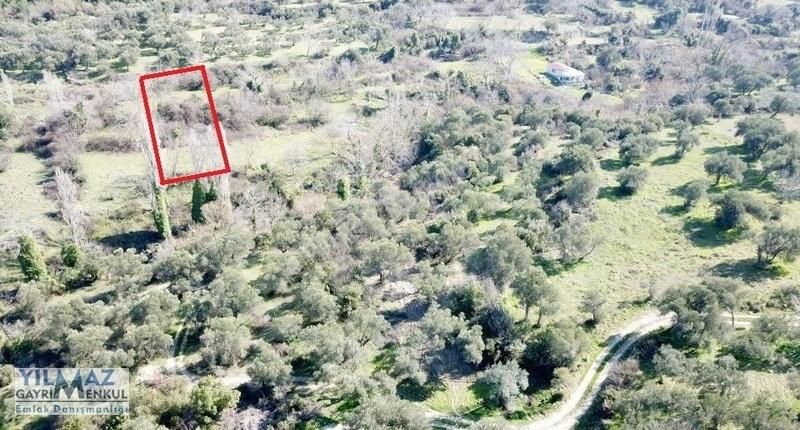 Fırsat ! Bergama Koyuneli Yatırımlık 900 M2 Satılık Bahçe - Görsel 30