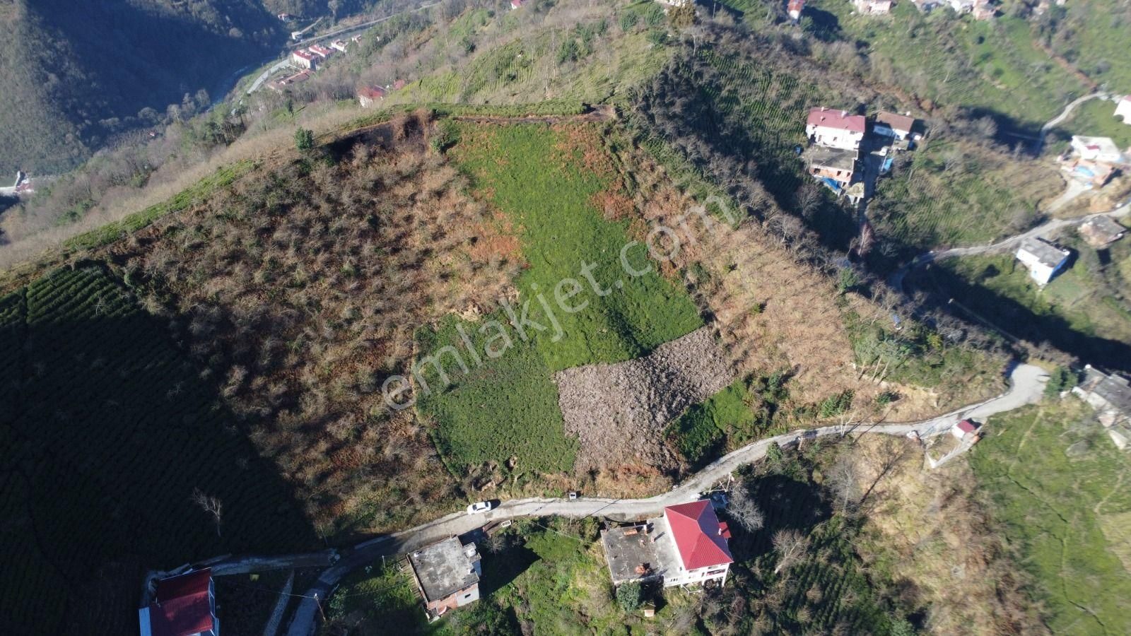 Sürmene Çamlıca Satılık Bağ & Bahçe Premar Gayrimenkul Sürmene Çamlıca Mah. Satılık Yatırımlık Arazi