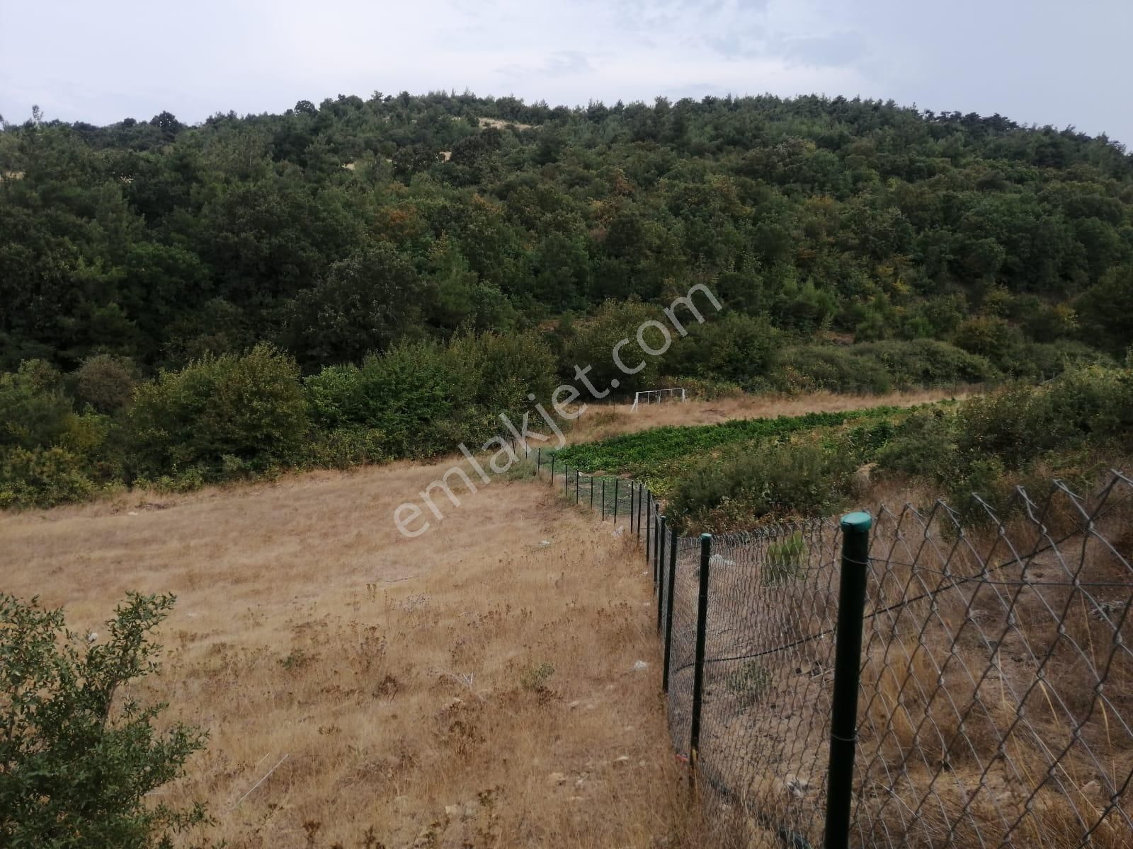 Altıeylül Bozen Satılık Tarla Liva'dan Altıeylül Bozen Mahallesinde Fırsat Tarla