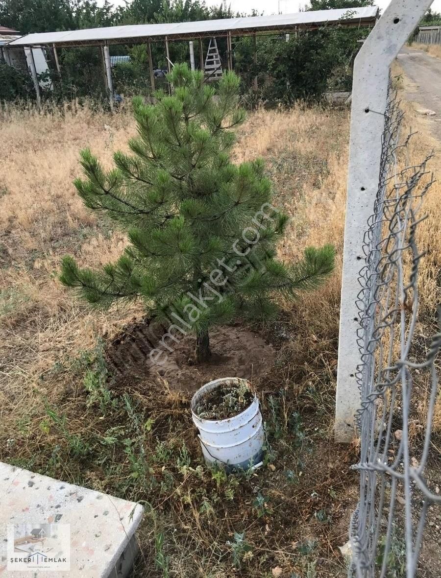 Selçuklu Şeker Satılık Tarla Şeker Emlak ' Tan Gödene De 485 Metre Hazır Bahçe