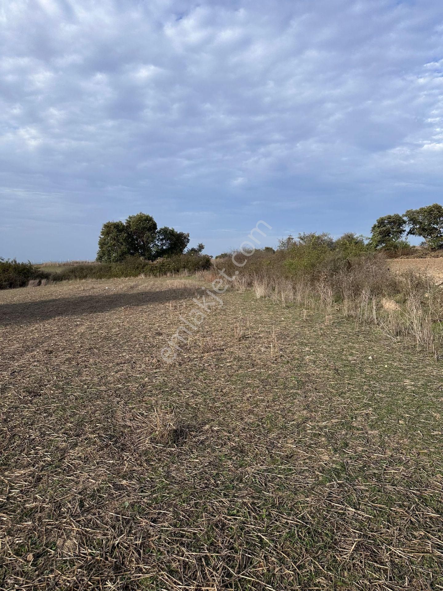 Silivri Çayırdere Satılık Tarla Silivri Çayırdere 400m2 Yatırımcısını Güldürecek Yüksek Kazanç Garantili Arsa