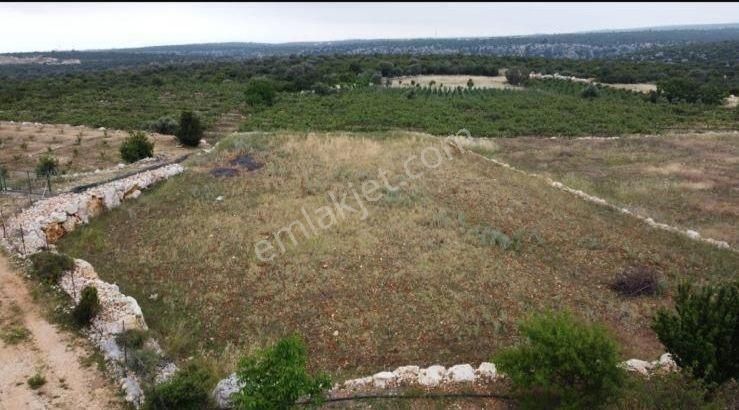 Silifke Hüseyinler Satılık Tarla Kızkalesi Huseyinlerdemli Masrafsız Tarla