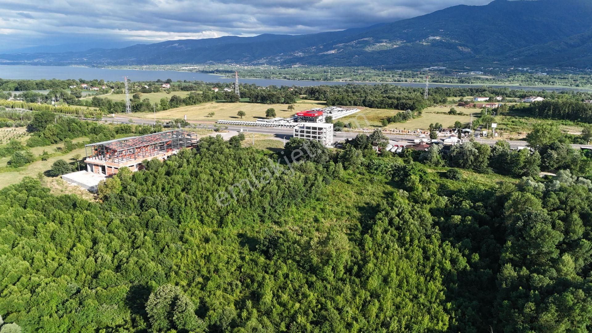 Kartepe Uzuntarla Satılık Depo, Antrepo İzinli Depo Yapımına Uygun 2368 M2 Parsel Kartepe Uzuntarla