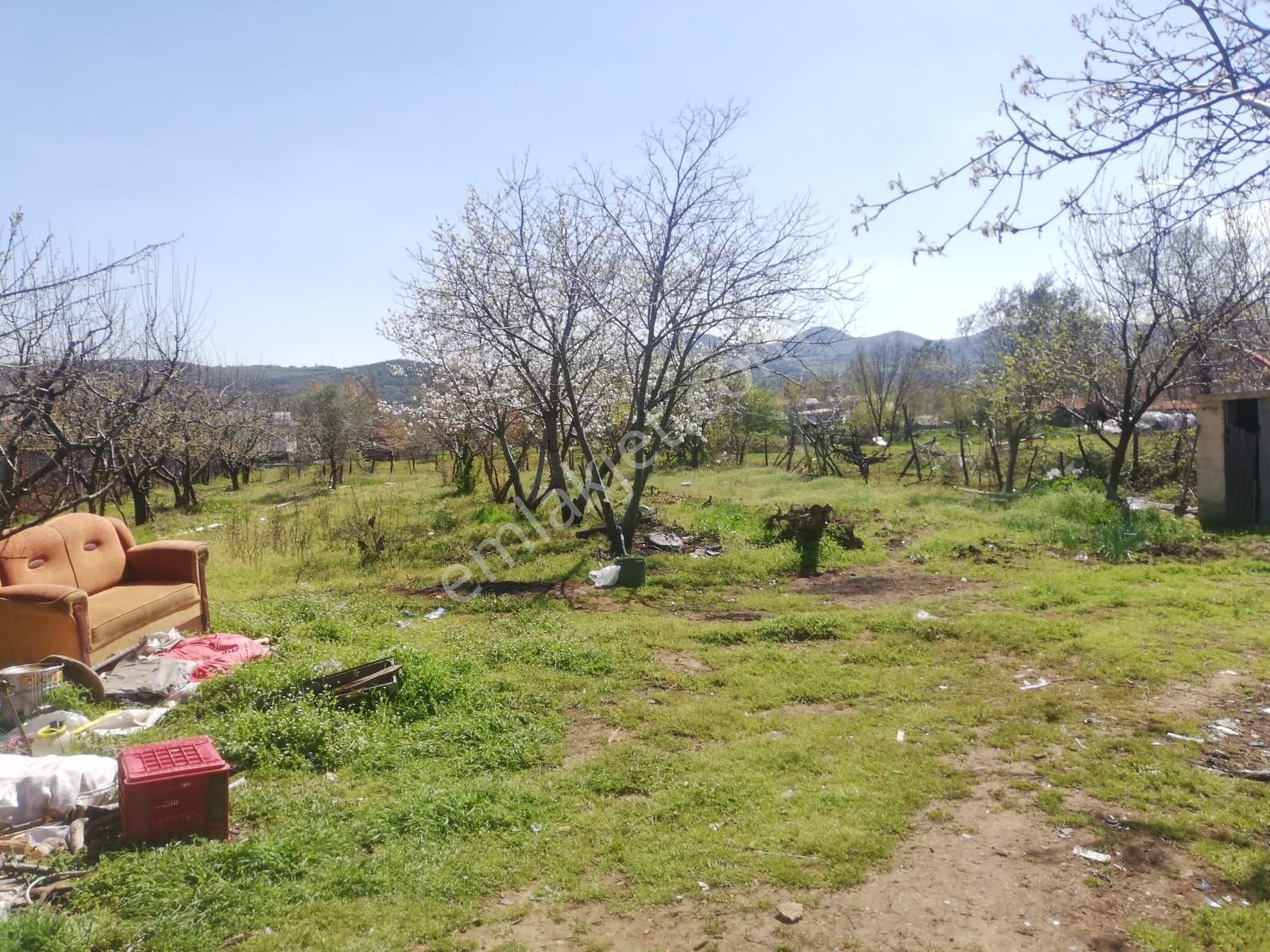 Lapseki Dişbudak Köyü Satılık Tarla Çanakkale Lapseki Dışbudak Köyünde Satılık Arsa.