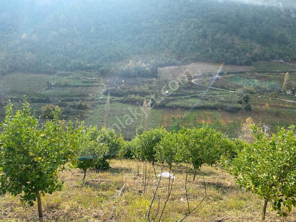 Erdemli Karahıdırlı Satılık Bağ & Bahçe Otuzüç ' Ten Erdemli Karahıdırlıda 14780m2 Satılık Bahçe