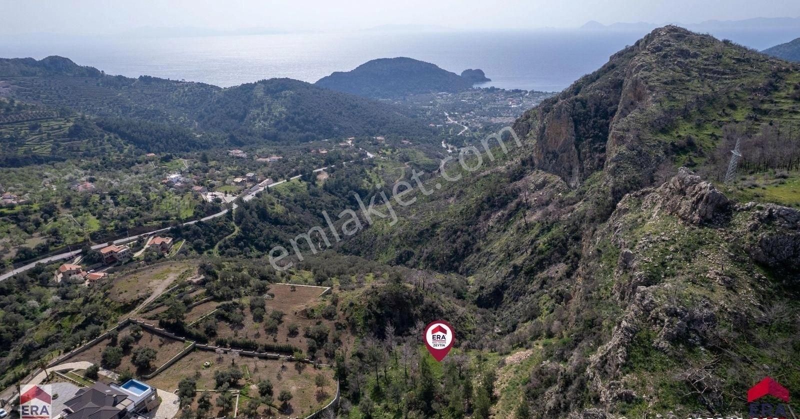 Datça Mesudiye Satılık Tarla Datça Mesudiye’de Deniz Manzaralı 1565 M2 Kadastral Yolu Olan Satılık Tarla Era Zeytin