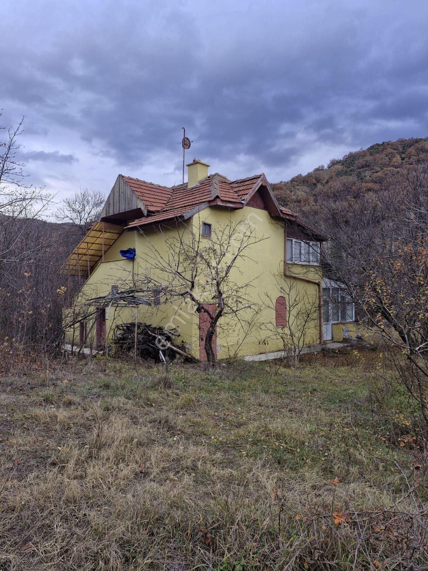 Çorum Merkez Bahçelievler Satılık Bağ & Bahçe İçer, Dere Bağlarında İçinde İki Katlı Evi Olan Bağ Satılıktır.