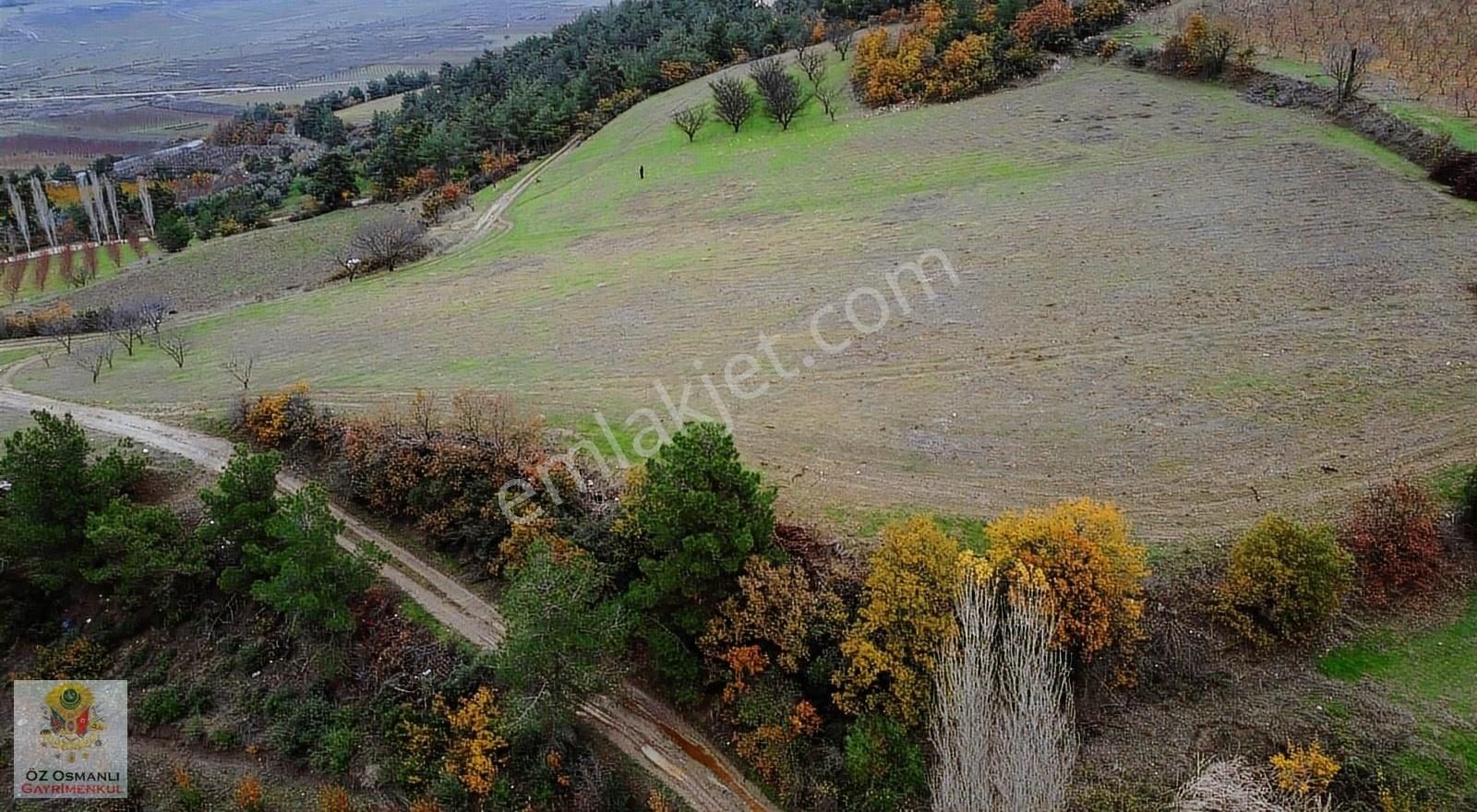 Osmaneli Akçapınar Köyü Satılık Tarla Osmaneli Akçapınar Köyün'de 1.101 M2 Yolu Olan Yatırımlık Tarla