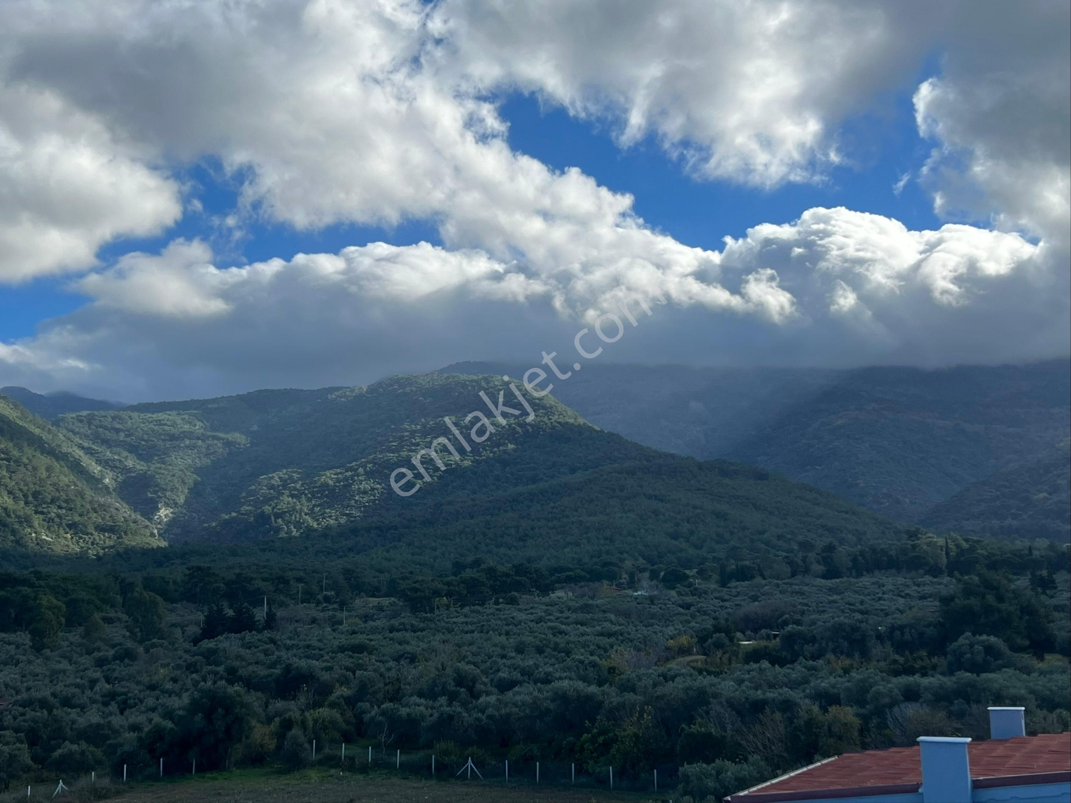 Kuşadası Güzelçamlı Satılık Daire Aydın Kuşadası Güzelçamlı’da Kapanmaz Deniz Ve Orman Manzaralı 3+1 Daire