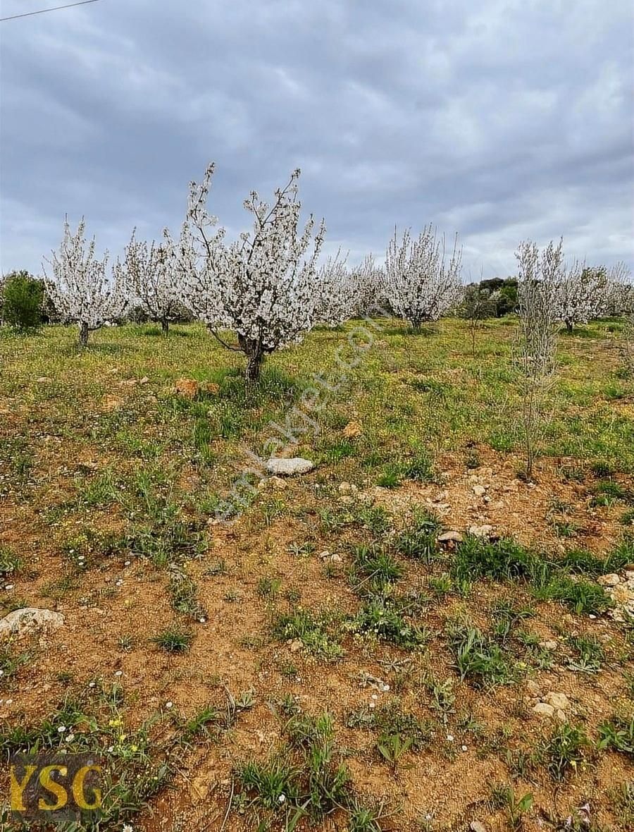 Şehitkamil İncesu Satılık Tarla Süper Konumlu Bahçe