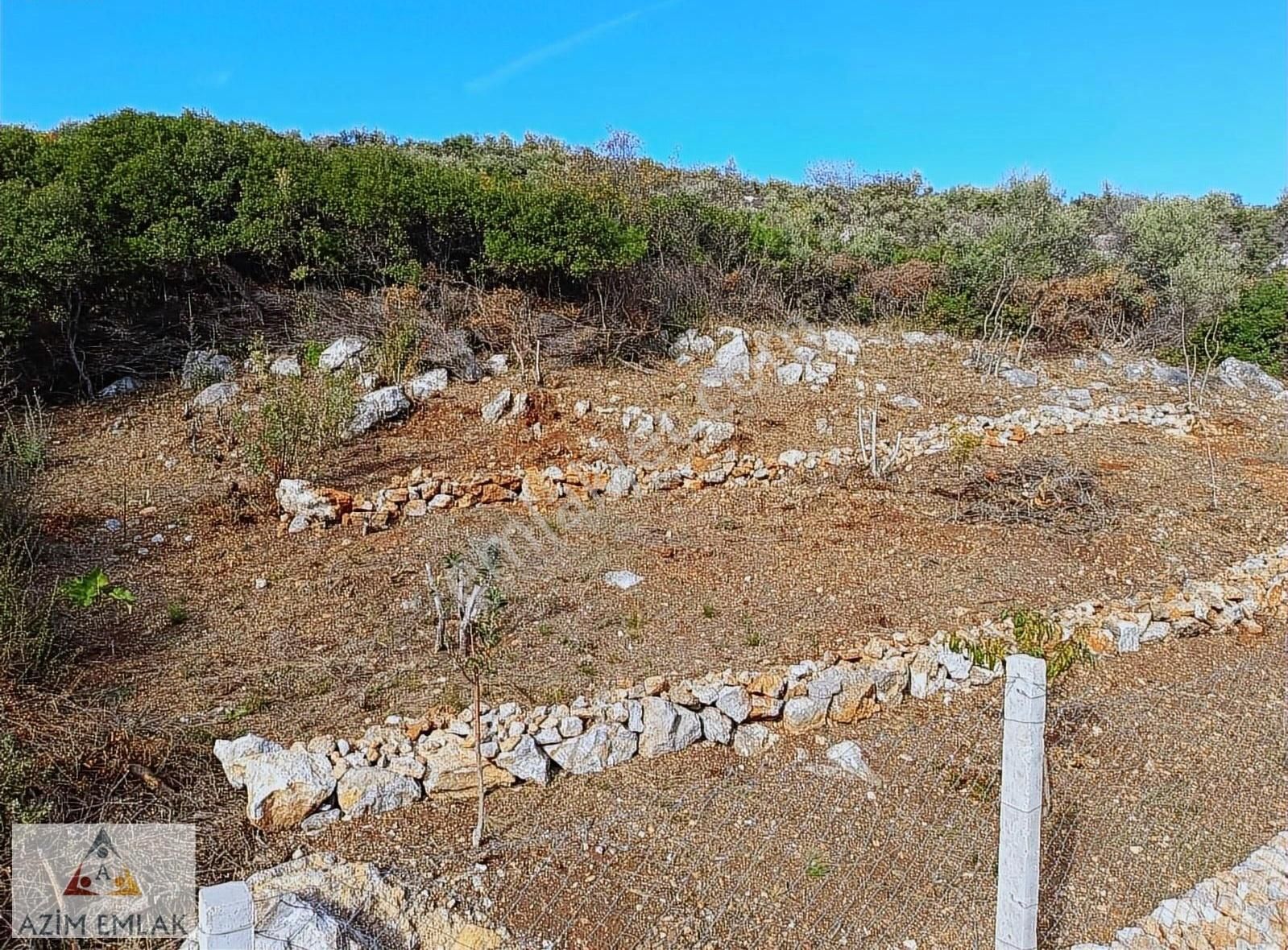 Torbalı Demirci Köyünde Satılık Müstakil Bina - Görsel 31