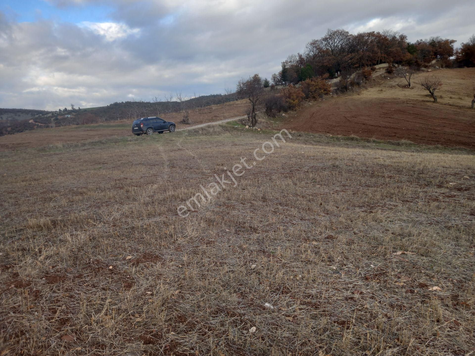 Gördes Fundacık Satılık Tarla Manisa Gördes Fundacık Da Satılık 23.000 M2 Tarla 1625000