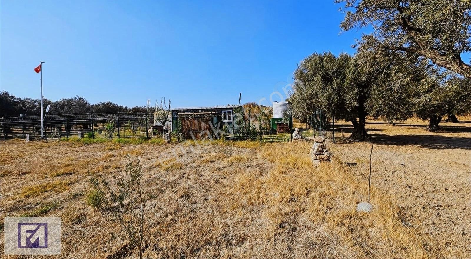 Foça Kemal Atatürk Satılık Tarla İzmir Foça Gerenköy'de Anayola Yakın Satılık Tarla